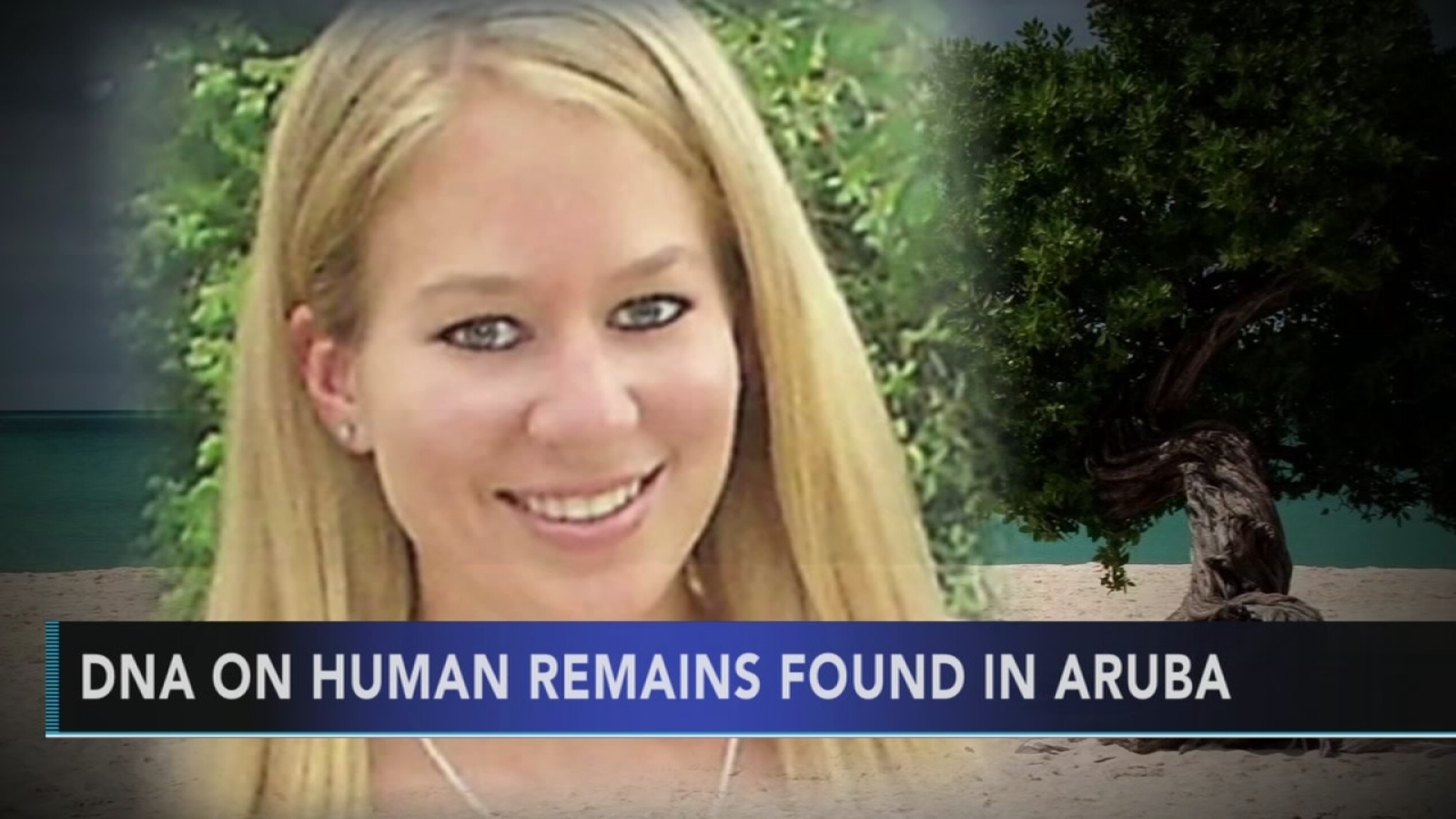 The 2005 Aruba nightclub exit that left three men with stories that never matched