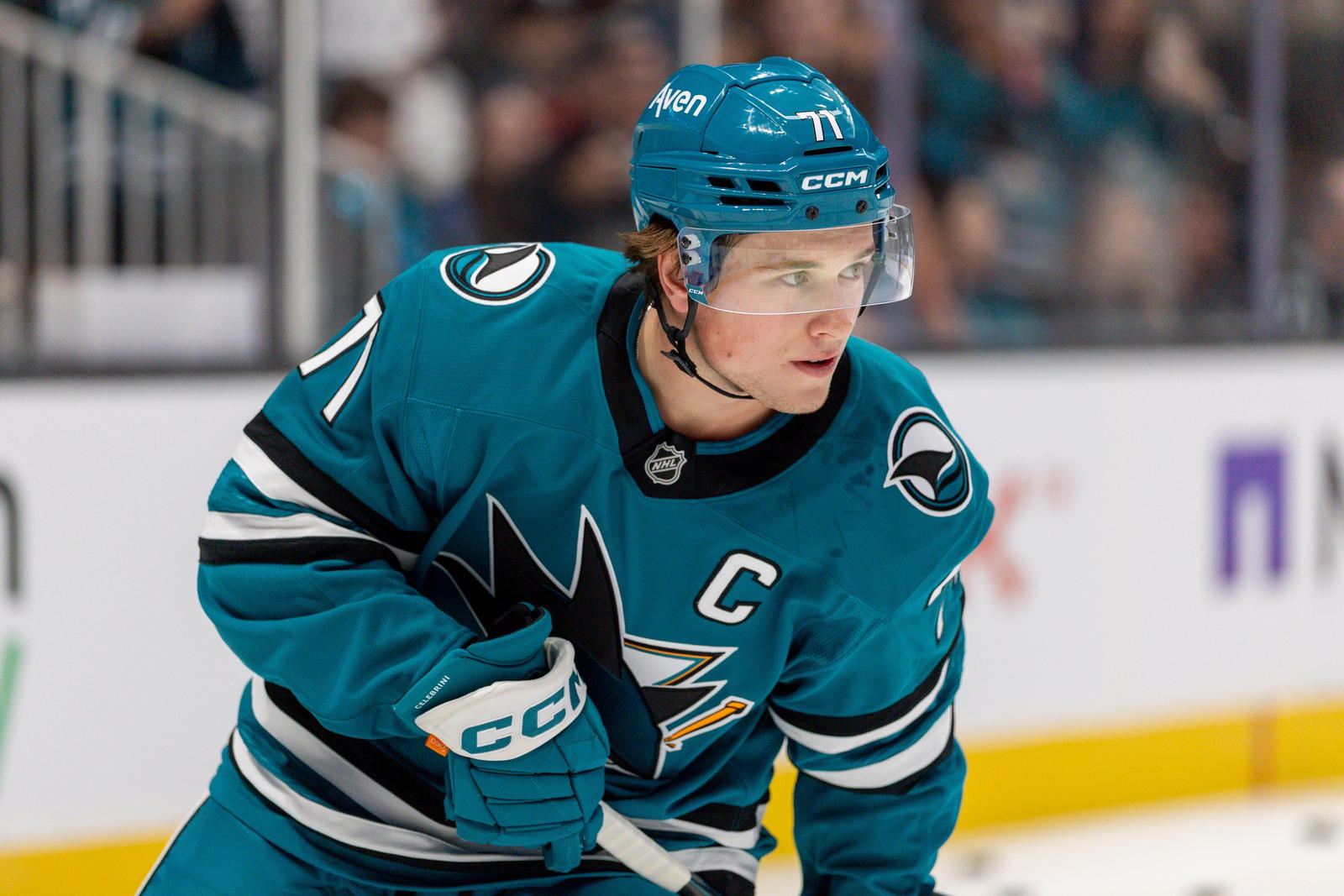 Sharks' Celebrini Out With Lower-Body Injury, Stutzle Powers Senators Past Bruins